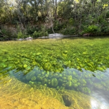 Fluss